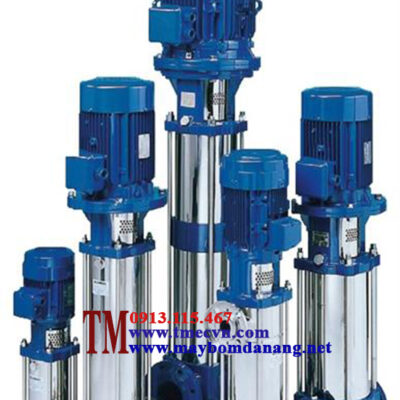 Bơm trục đứng Ebara