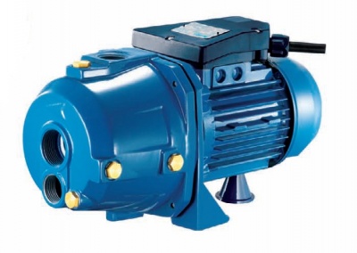 Máy bơm gia đình Pentax AP-200