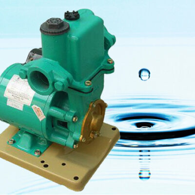 Bơm nước chân không PW-401E