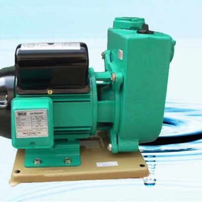 Bơm nước chân không  PW-1500E