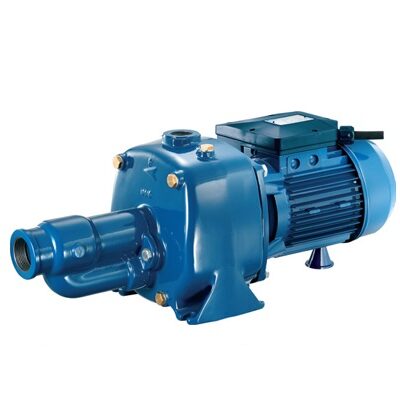 Máy bơm nước Pentax CAB-200